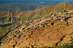 ������, ������, ���������� ����, ������� �����, ���� ����, ����� �������