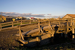 ������, ������, ���������� ����, ������� �����, ������ ����(����)