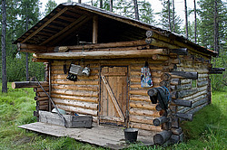 ������, ������, ���������� ����, ������� �����, ���� ���������, ����� ���� ��������