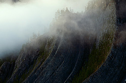 ������, ������, ���������� ����, ������� �����, ���� ��������� ���� ���������, ���� ���������