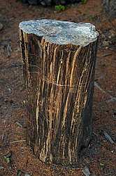 ������, ������, ���������� ����, ������� �����, ���� ��������� � ����������� ���������� ���� ���������