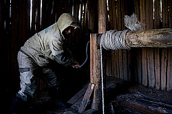 ������, ������, ���������� ����, ������� �����, ���� ���������, �����-�����