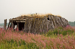 ������, ������, ���������� ����, ������� �����, ���� ��������� ���� ����