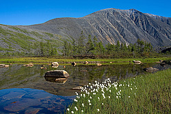 ������, ������, ���������� ����, ������� �����, ������ ��������, ���� �������-������, ������ ������ ���������