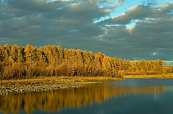 ������, ������, ���������� ����, ������� �����, ���� ����, ������ ���-����