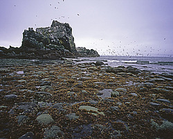 ����������� �������, ���������� ����, ��������� ��������� ����, ��� �����