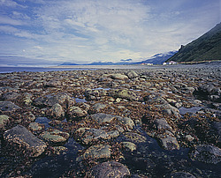 ����������� �������, ���������� ����, ��������� ��������� ����, ��� �����, �������� ����, ��� �� ��� ���������