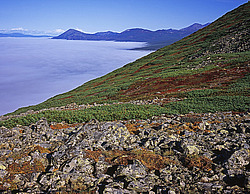 ����������� �������, ���������� ����, ��������� ��������� ����, ��� �����, ��� �� ������