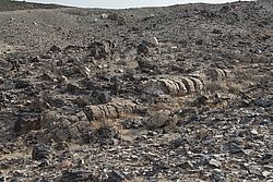 ������������, ��������