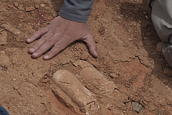 ������������, ��������