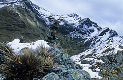 ������ �� �����, ����