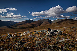 �����, ������� ������� � ����, �������� (�����) �������. ������� ������.