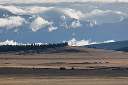 ��������, ������������� ������������ ����, ����: �������� �������������, �����, ��� �� ������ �����-������, �������, �����, ���� 