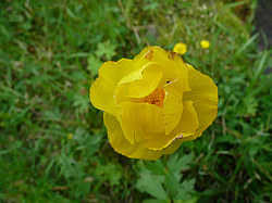 ����� ���������������� ������