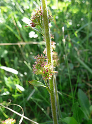 ����� ���������������� ������