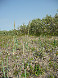 ����� ���������������� ������