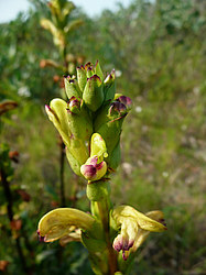 ����� ���������������� ������