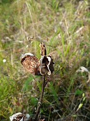 ����� ���������������� ������