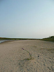 ����� ���������������� ������