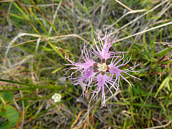 ����� ���������������� ������