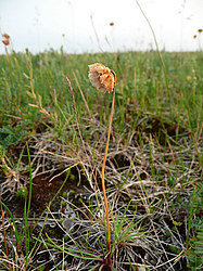 ����� ���������������� ������