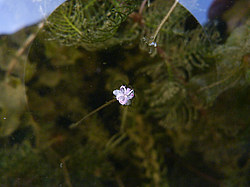 ����� ���������� ���������