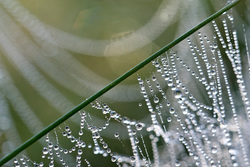 ���� � �������. ������������ �������, ������.