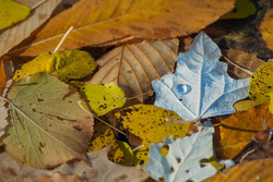 ������. ������� �������. ������������ �������.