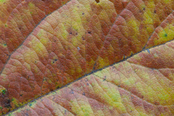 ������. ������� �������. ������������ �������.