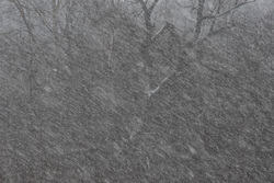 ������� ��������. ������������ �������.