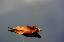 ������. ������� �������. ������������ �������.