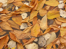 ������. ������� �������. ������������ �������.