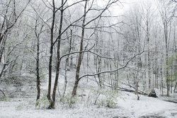 �������� �������� �� ���������� �����. ��������� ���� ���� � ����� ������.