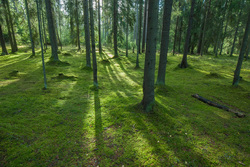 ������-������������. ����� ����� ��������������� ��������� ��������.