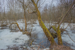 ��������� �������� ������, ������� �������. �������� ������ ��������������� ��������� ��������.