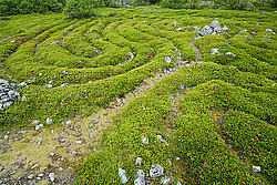 ���������� ���������, ������� �������