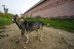 �������, ����, �������� �����