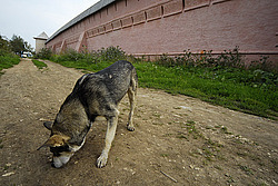 �������, ����, �������� �����