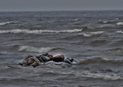 �������, ��������� ���� � ���������� �����, ������� ���������. �������� ������ ��������������� ��������� ��������.