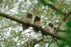 ��� ������ �� ������