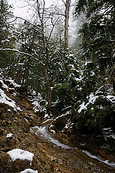 �������� ������, ����