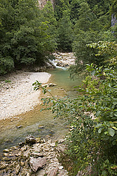 �������� ������, ������������� ����, ����������� ������� ������, ������