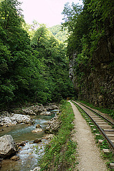 �������� ������, ������������� ����, ����������� ������� ������, ������