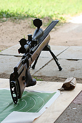 ���������� ������������ ��������, �������� �� ��������