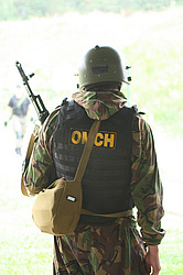 ���������� ������������ ��������, �������� �� ��������