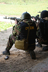 ���������� ������������ ��������, �������� �� ��������