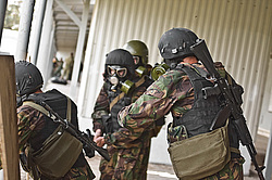 ���������� ������������ ��������, �������� �� ��������