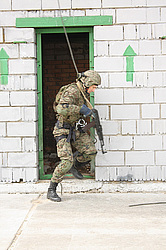 ���������� ������������ ��������, �� �������� ���