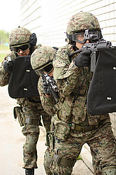 ���������� ������������ ��������, �� �������� ���