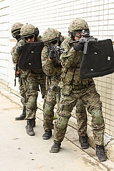 ���������� ������������ ��������, �� �������� ���